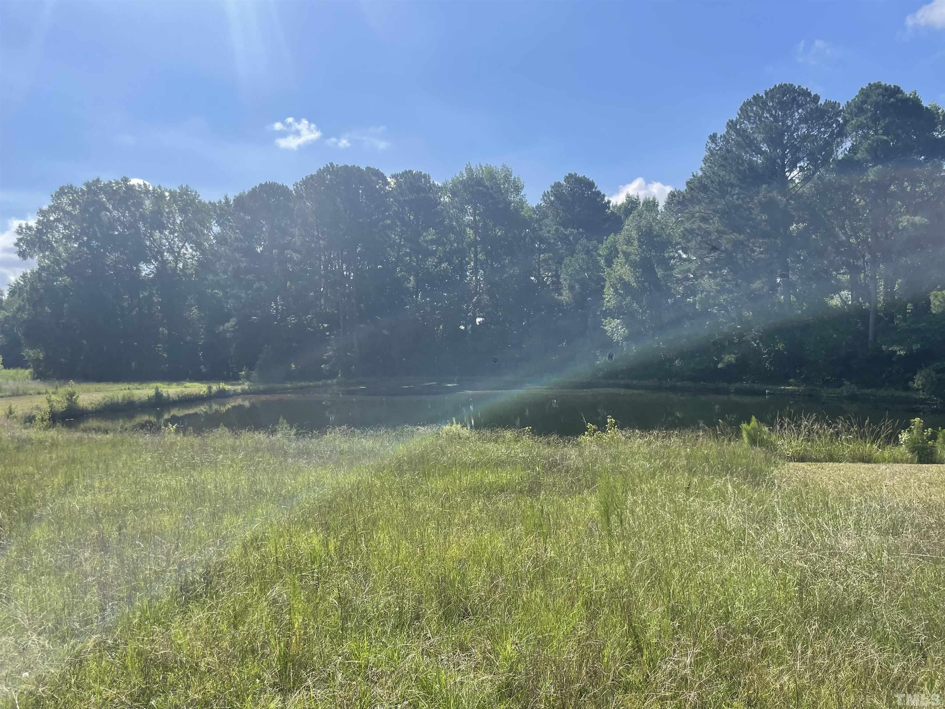 4978 Zacks Mill Road Angier, NC 27501 - Photo 5 of 11 a view of lake view and mountain view
