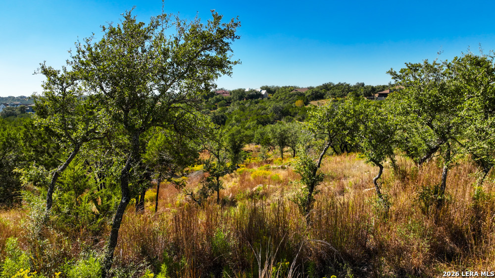 218 Quest Avenue Spring Branch, TX 78070 - Photo 5 of 13 a view of a yard