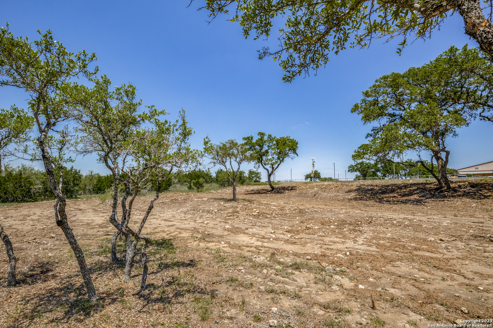 218 Quest Avenue Spring Branch, TX 78070 - Photo 9 of 13 a view of a yard with plants and trees