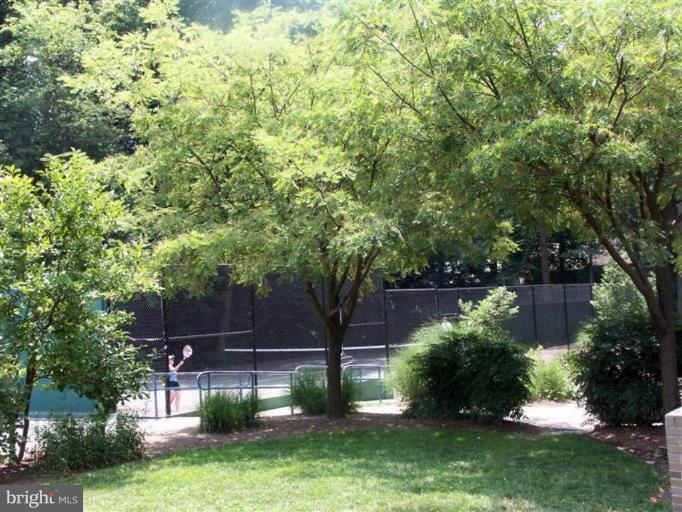 1552 Northgate Square, Unit 52/11B Reston, VA 20190 - Photo 11 of 16 TENNIS COURTS