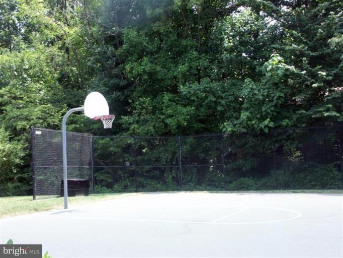 1552 Northgate Square, Unit 52/11B Reston, VA 20190 - Photo 12 of 16 BASKETBALL COURTS