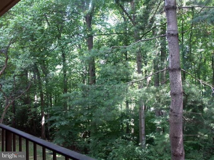 1552 Northgate Square, Unit 52/11B Reston, VA 20190 - Photo 7 of 16 Deck - View from