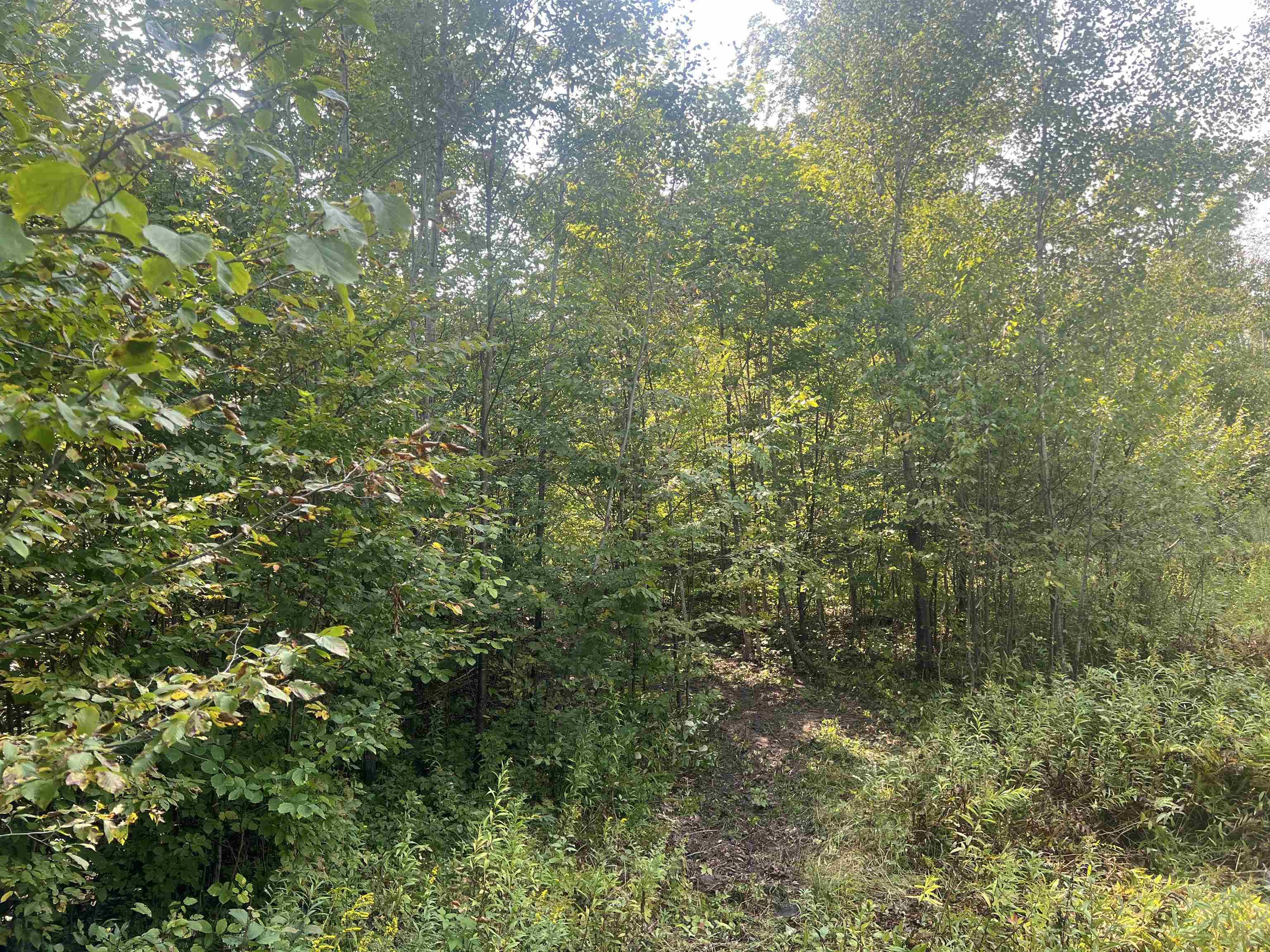 0 30 West 30 1/4 Road Harrietta, MI 49638 - Photo 8 of 9 1927076-5d64f582-32c9-481d-be63-712a7e4c1388.JPG