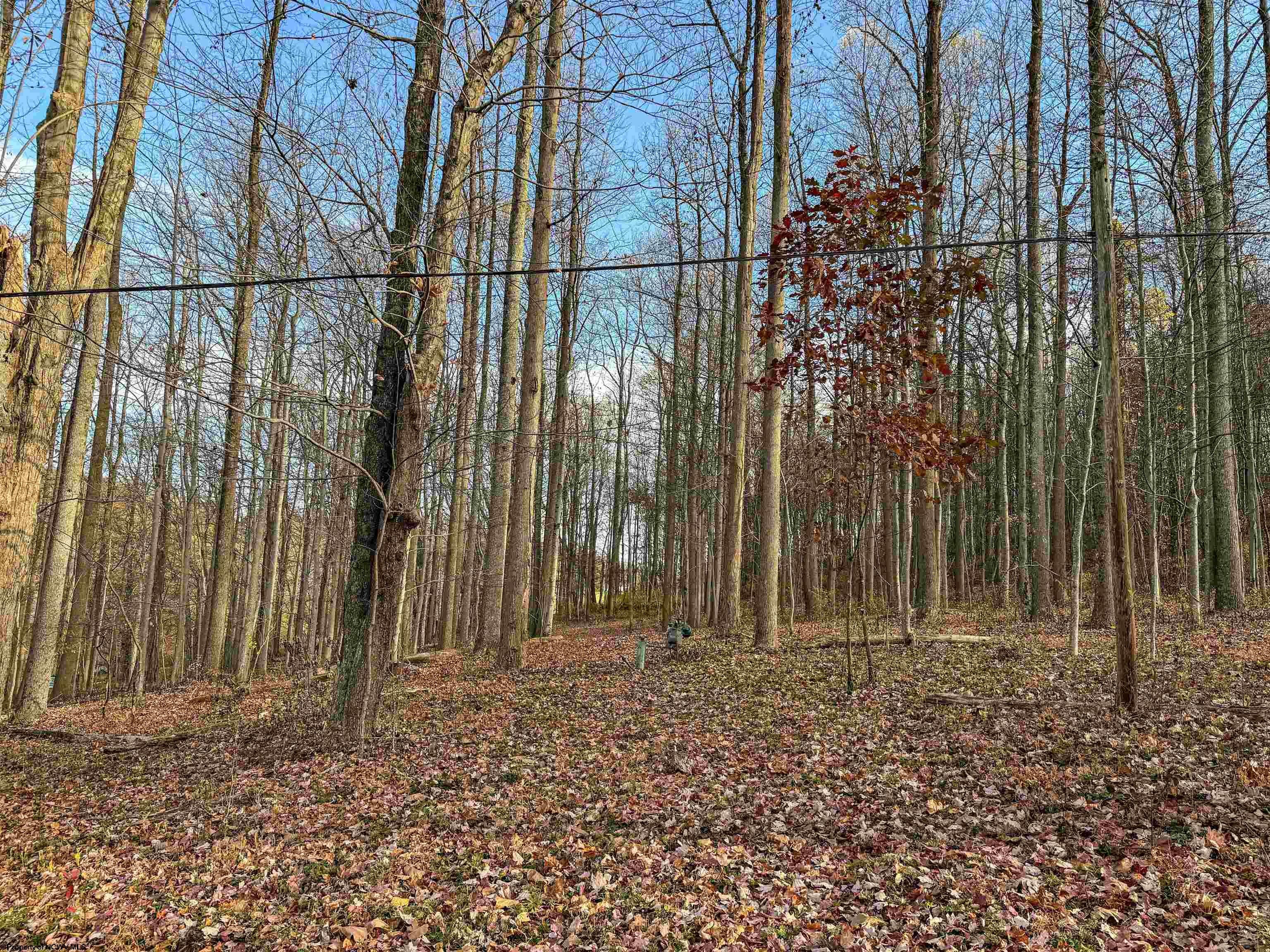 0 Little Mill Fall Road Fairmont, WV 26554 - Photo 28 of 30 Gallery Image 28