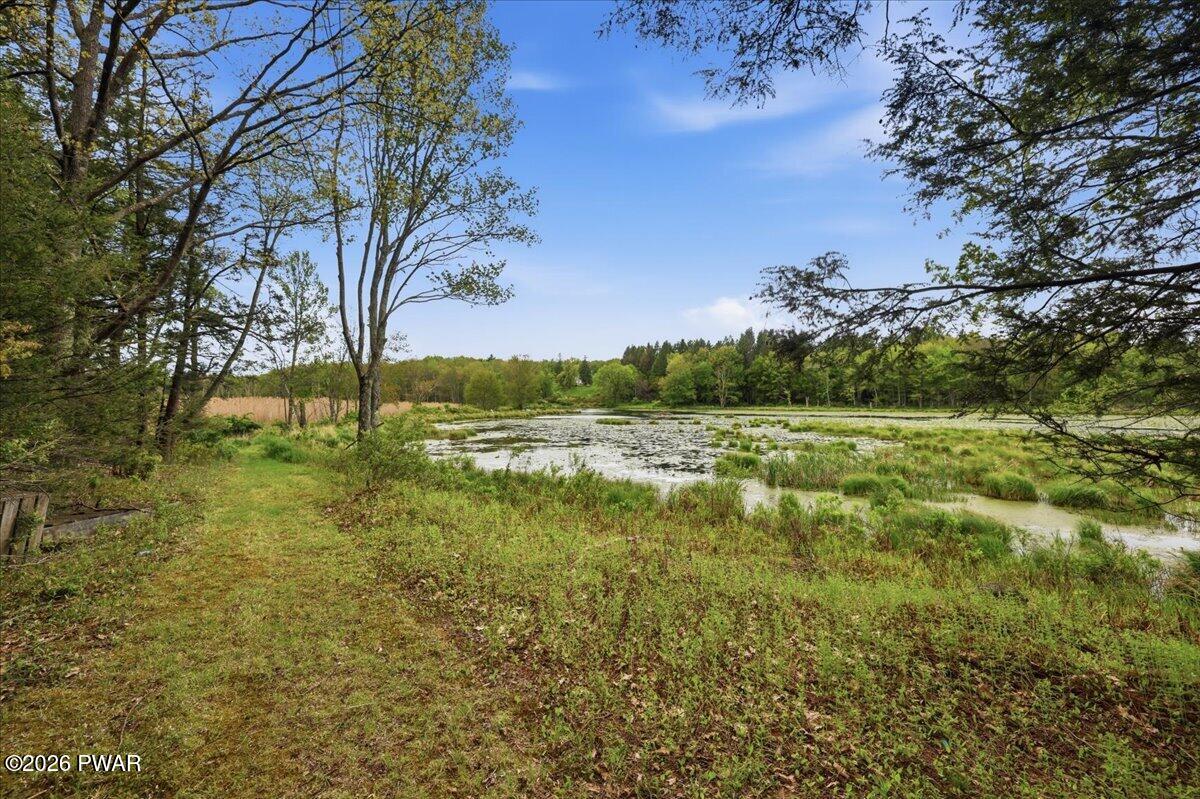 103 Forever Green Road Lakeville, PA 18438 - Photo 36 of 179