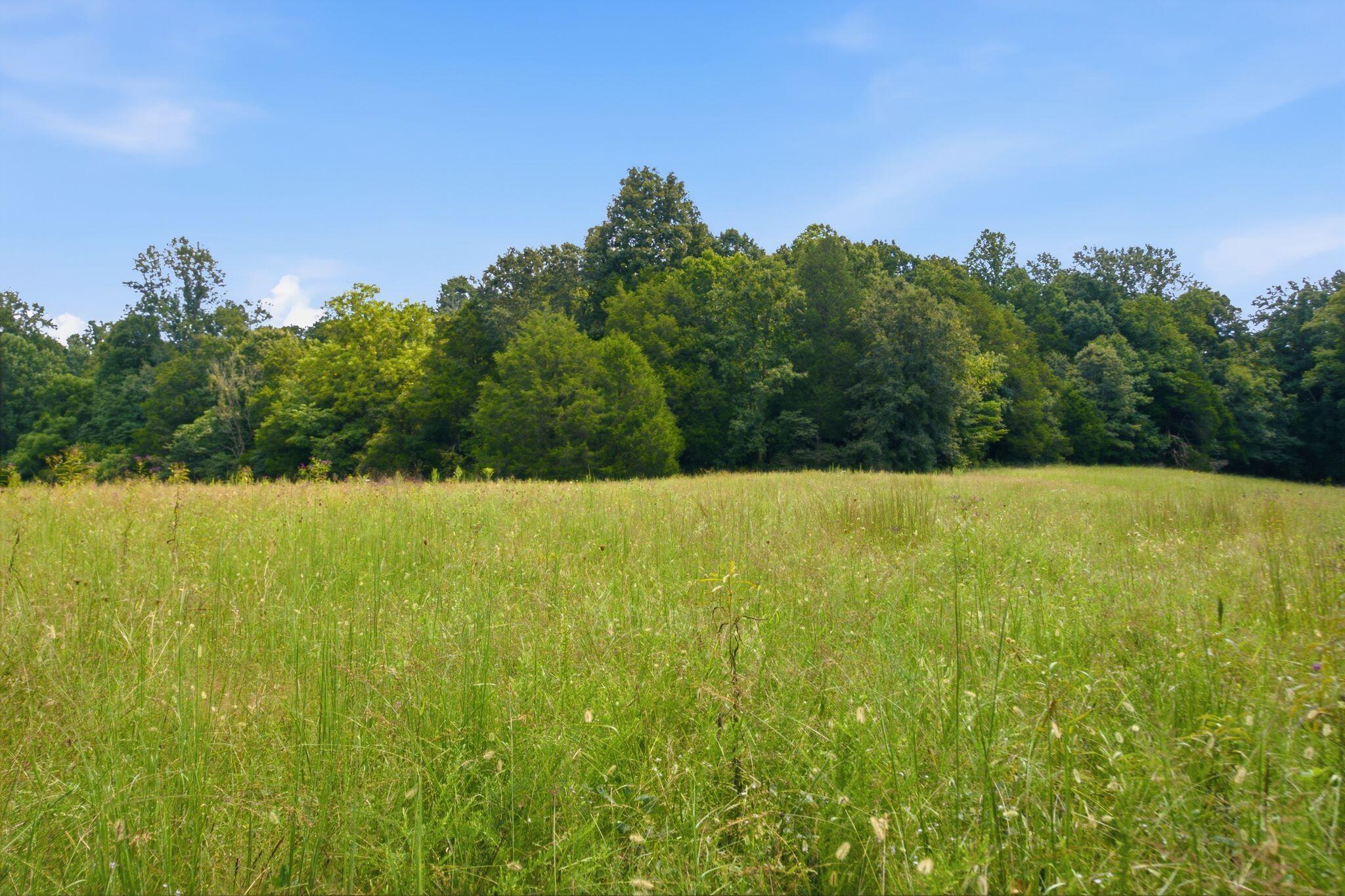 15529 St John Road, Unit TRACT #2 Rineyville, KY 40162 - Photo 28 of 39 dsc04592