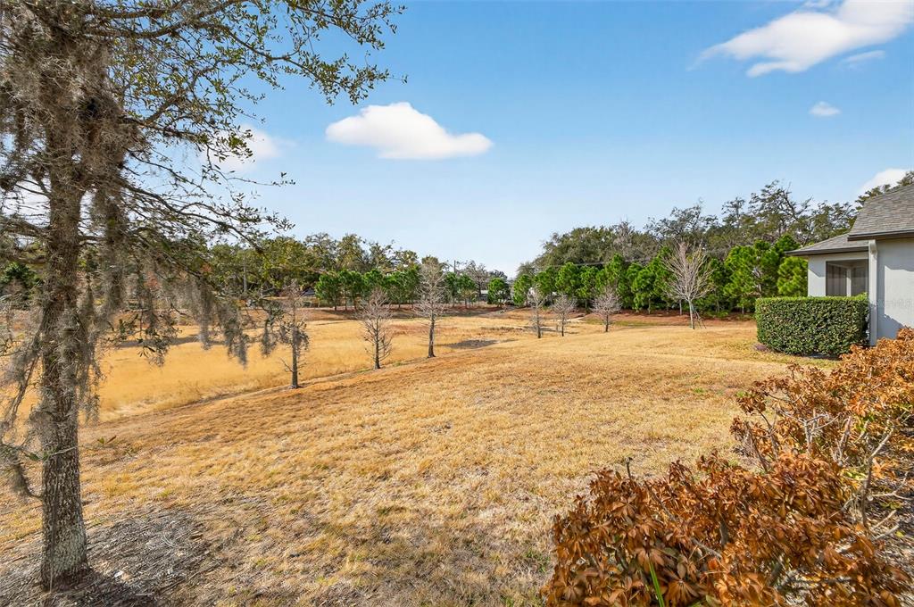 1244 Florablu Drive Seffner, FL 33584 - Photo 31 of 37