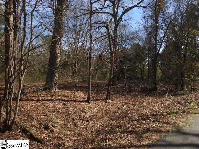 364 Wofford Shoals Road, Unit LOT 3 Fountain Inn, SC 29644 - Photo 1 of 17 Gallery Image 1