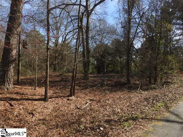 364 Wofford Shoals Road, Unit LOT 3 Fountain Inn, SC 29644 - Photo 2 of 17 Gallery Image 2