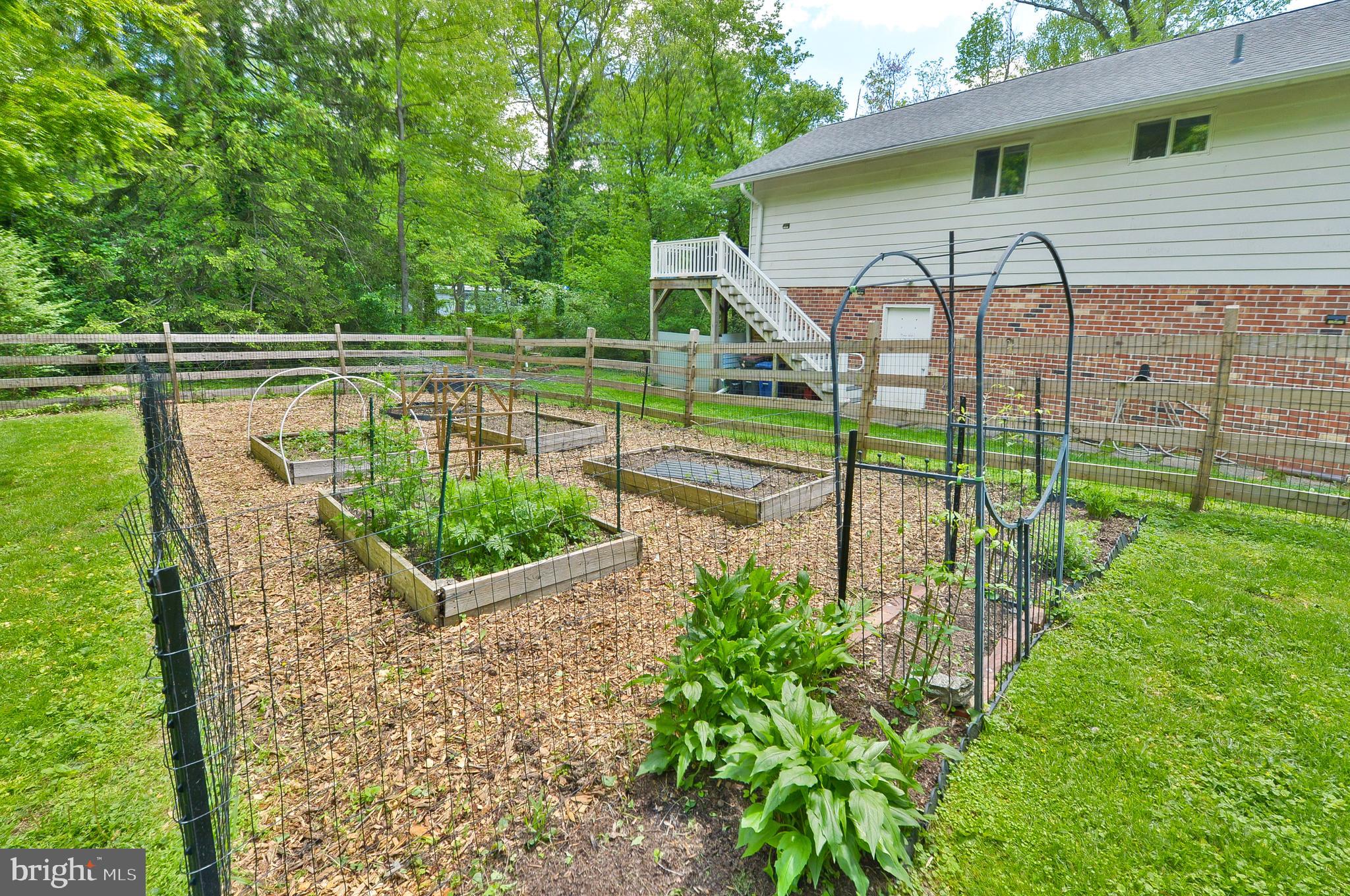 209 Riverview Road Swarthmore, PA 19081 - Photo 46 of 50 Rear Yard Garden