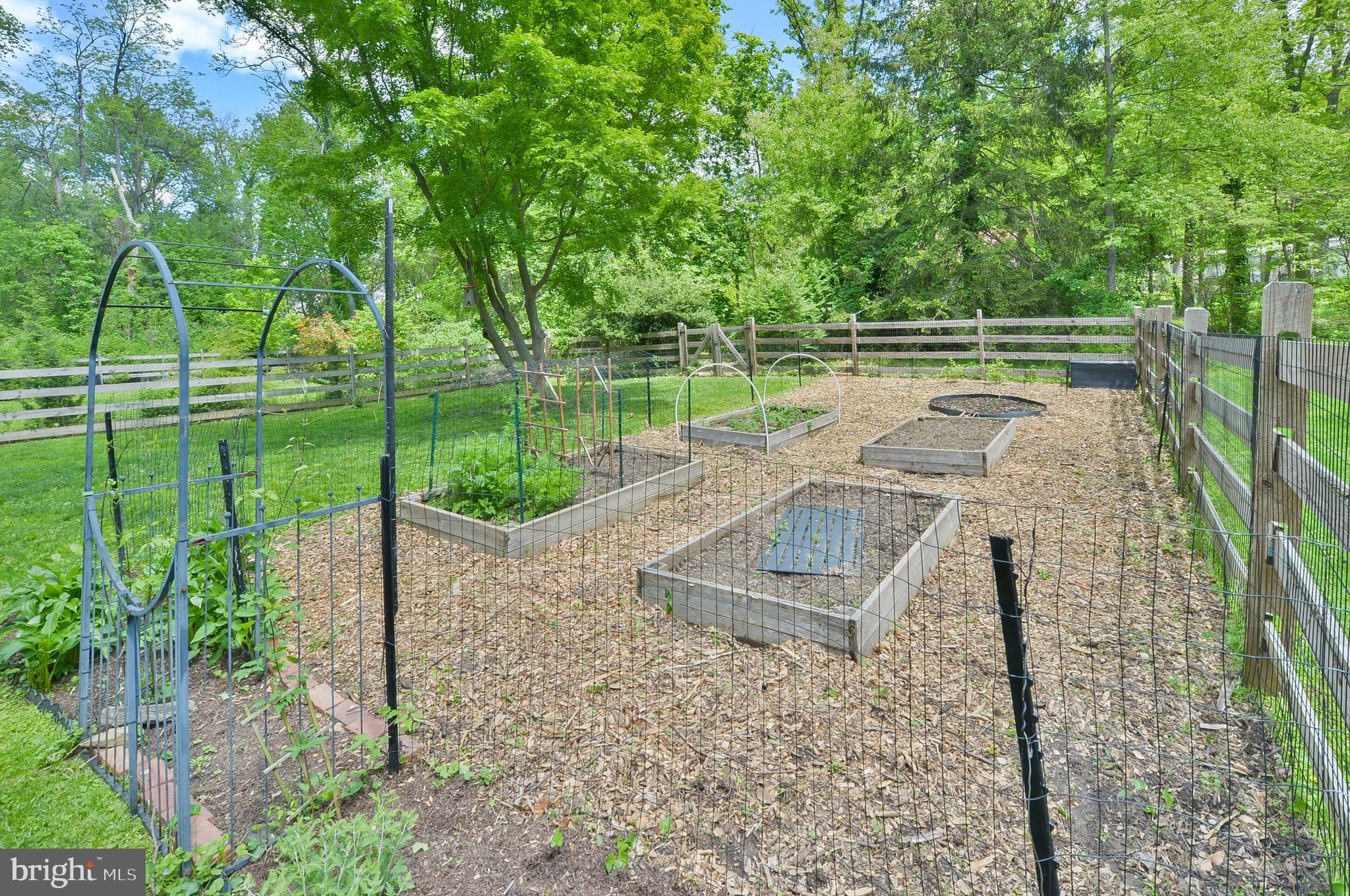 209 Riverview Road Swarthmore, PA 19081 - Photo 47 of 50 Rear Yard Garden