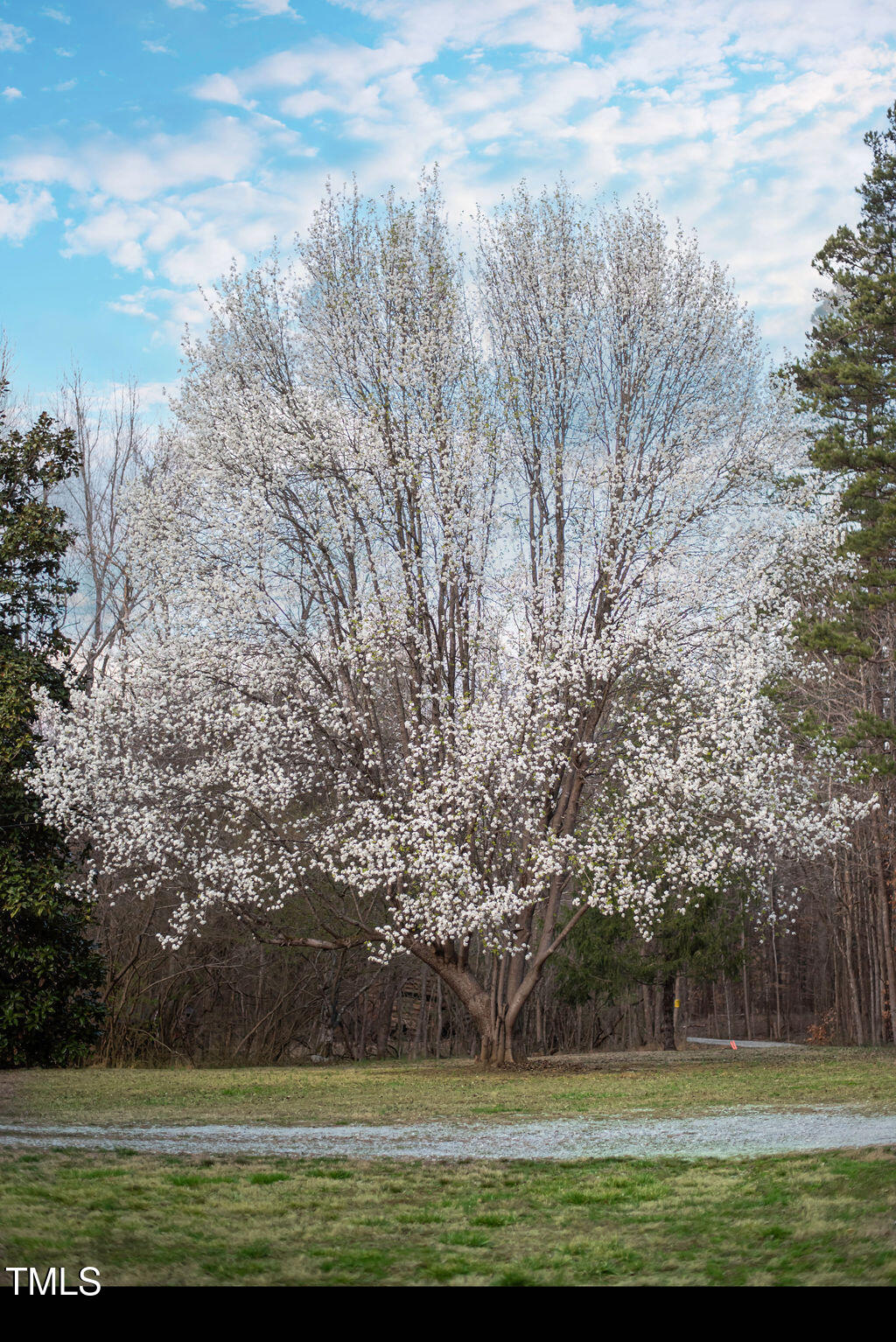 8717 Allison Road Cedar Grove, NC 27231 - Photo 76 of 86 DSC_2713-Edit