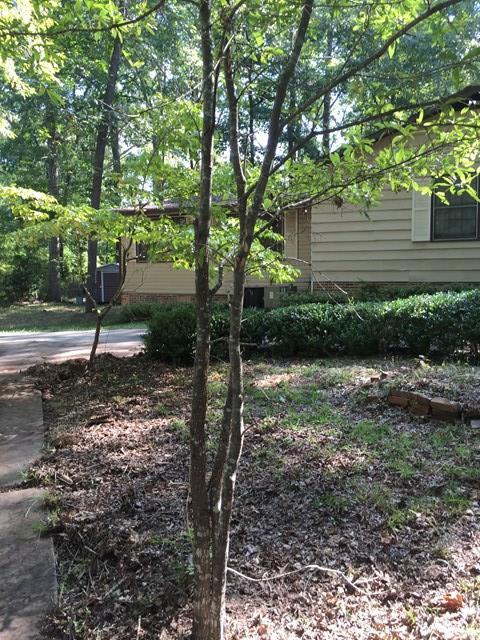6829 Lower Thomaston Road Macon, GA 31220 - Photo 2 of 11 a backyard of a house with lots of green space