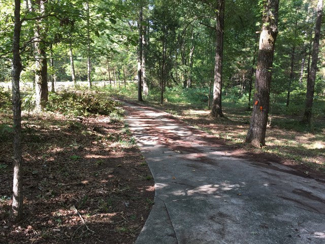 6829 Lower Thomaston Road Macon, GA 31220 - Photo 8 of 11 a view of a yard with trees