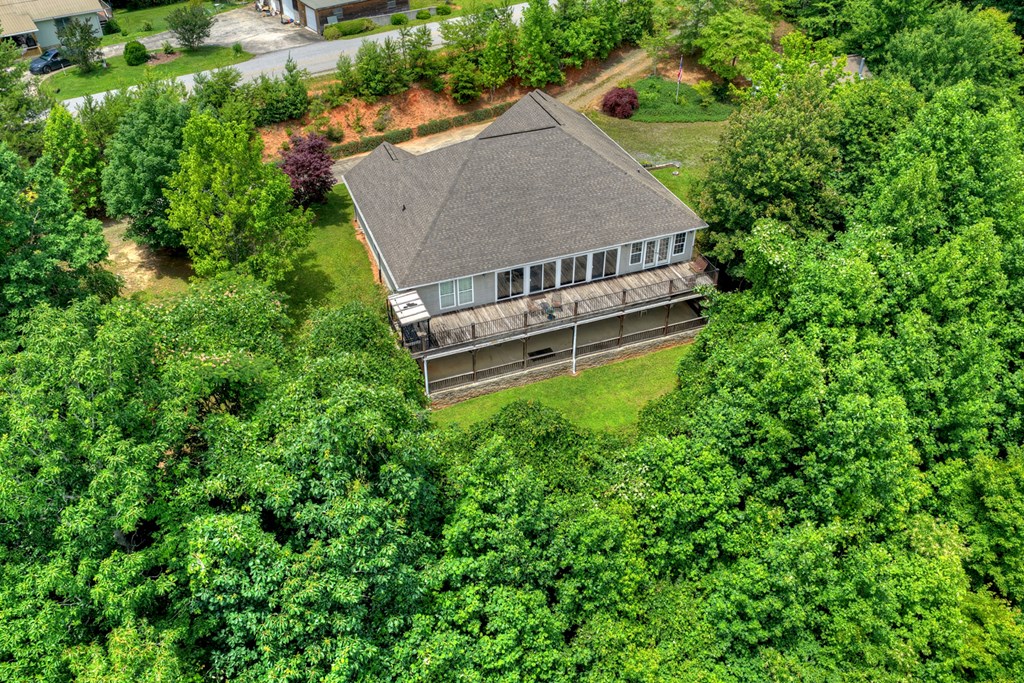 1207 Bullen Gap Road Blue Ridge, GA 30513 - Photo 5 of 61