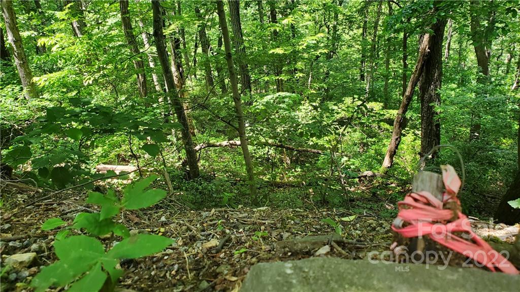 2100 Hogback Mountain Road Tryon, NC 28782 - Photo 3 of 20 a view of a garden with plants and wooden fence