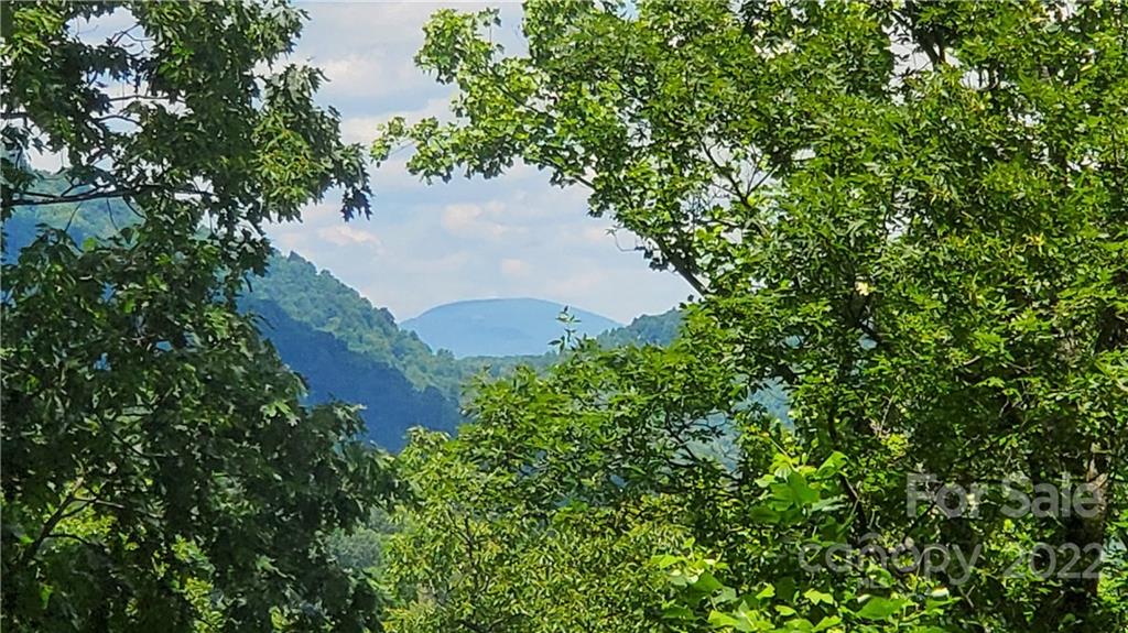 2100 Hogback Mountain Road Tryon, NC 28782 - Photo 4 of 20 an aerial view of a house with a yard and trees all around