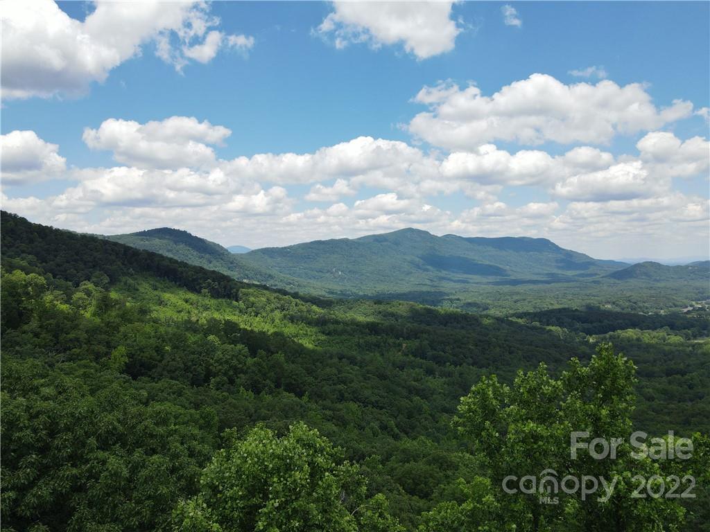 2100 Hogback Mountain Road Tryon, NC 28782 - Photo 7 of 20 a view of a bunch of trees in the background