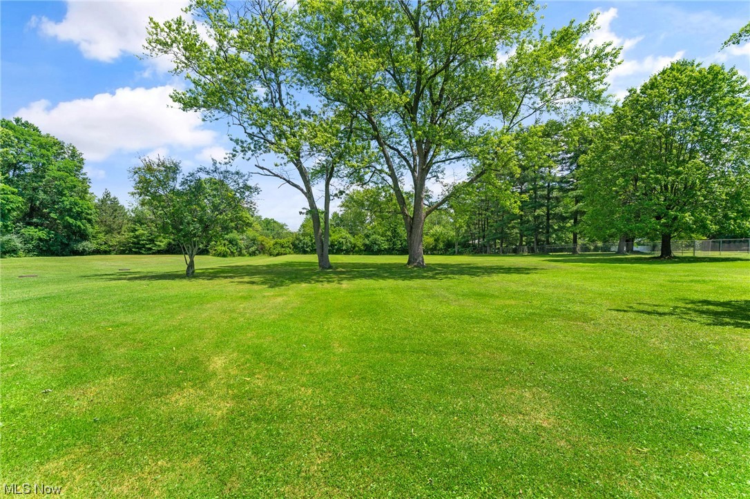 179 North Raccoon Road Youngstown, OH 44515 - Photo 22 of 30 Gallery Image 22