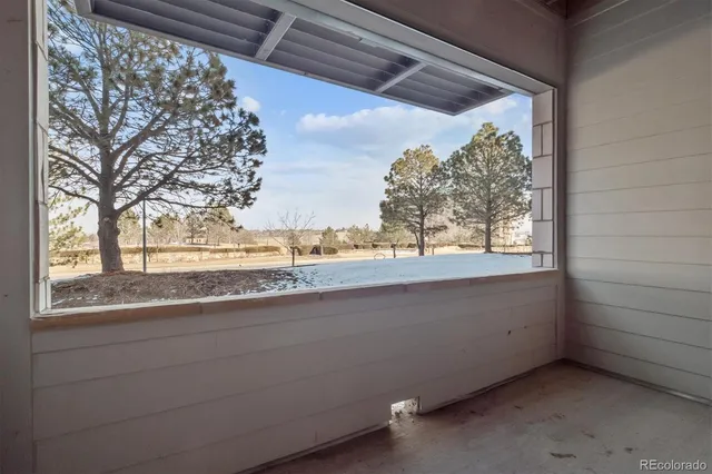 a view of a windows and tree from a window
