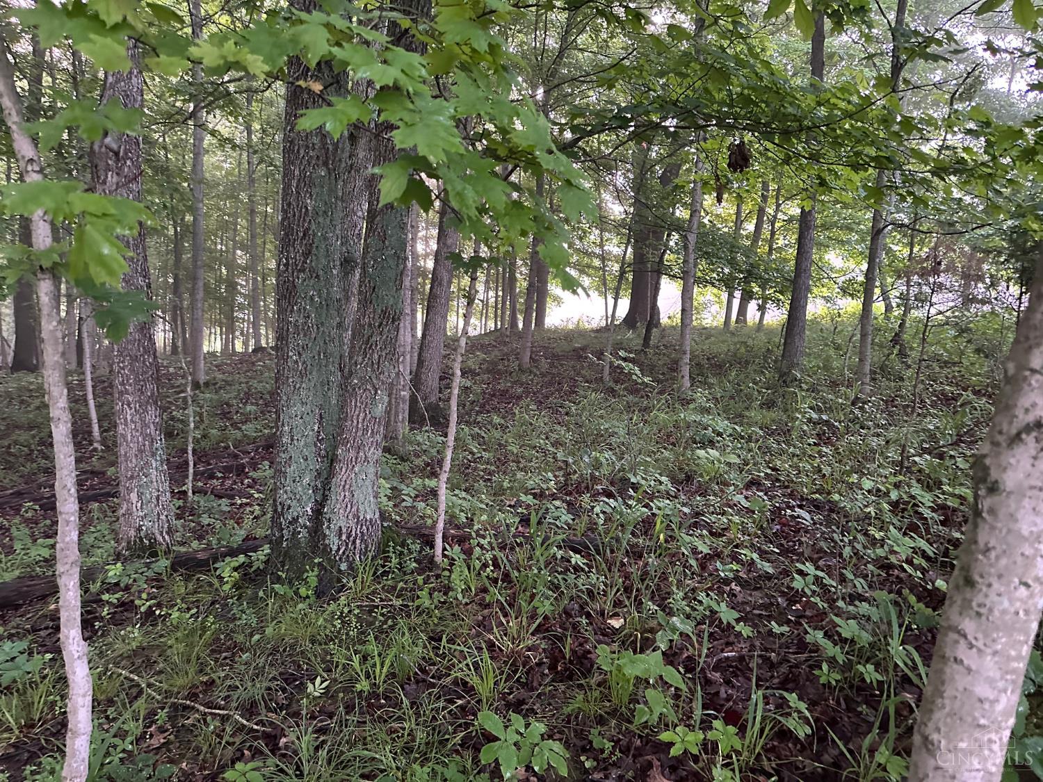 11583 Sinking Spring Road Hillsboro, OH 45133 - Photo 18 of 25