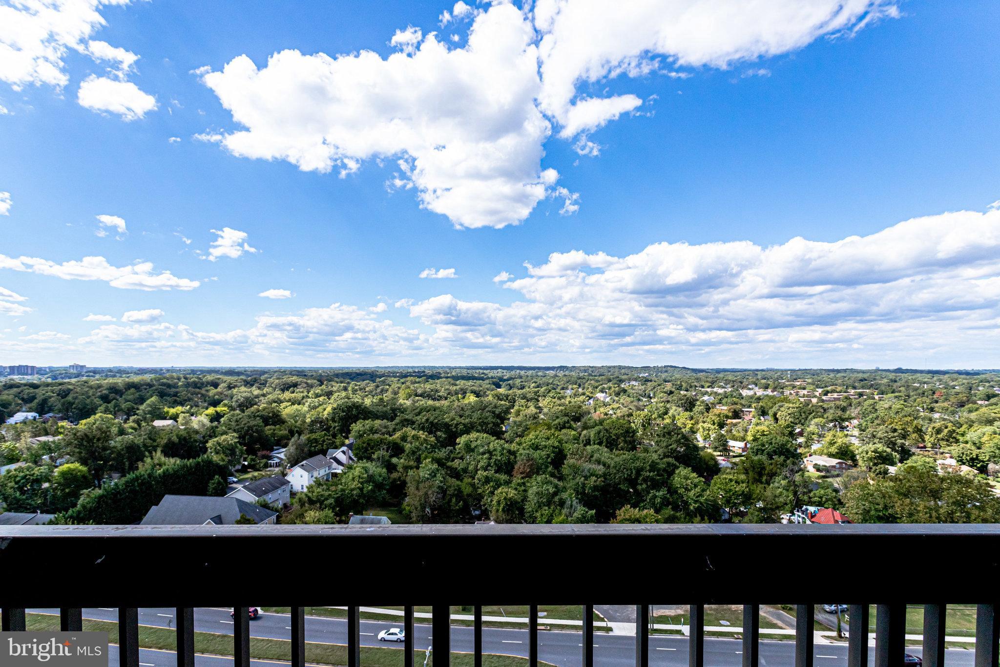 5505 Seminary Road, Unit 1515N Falls Church, VA 22041 - Photo 47 of 63