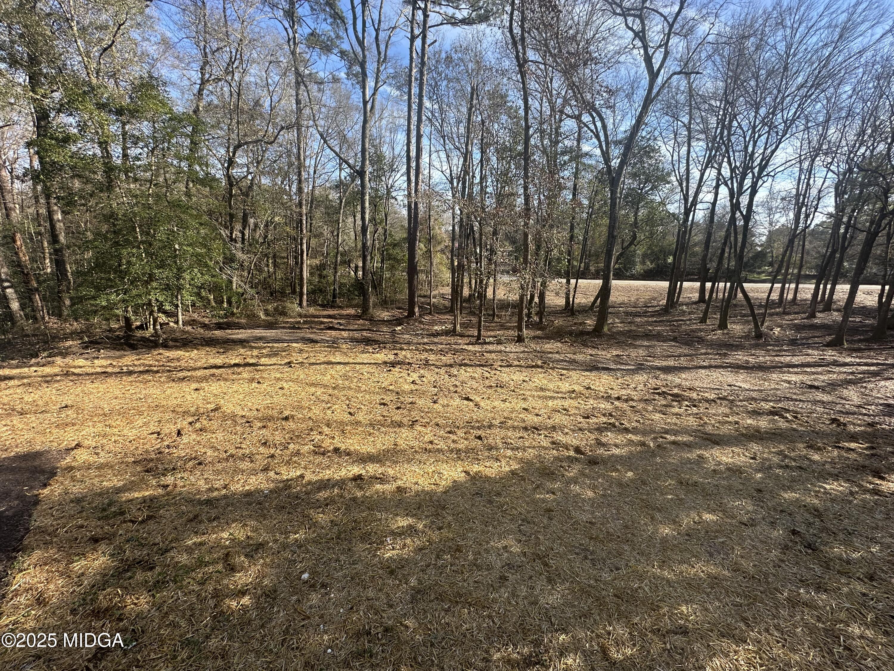 4105 Holley Road Lizella, GA 31052 - Photo 18 of 78 a view of outdoor space with trees
