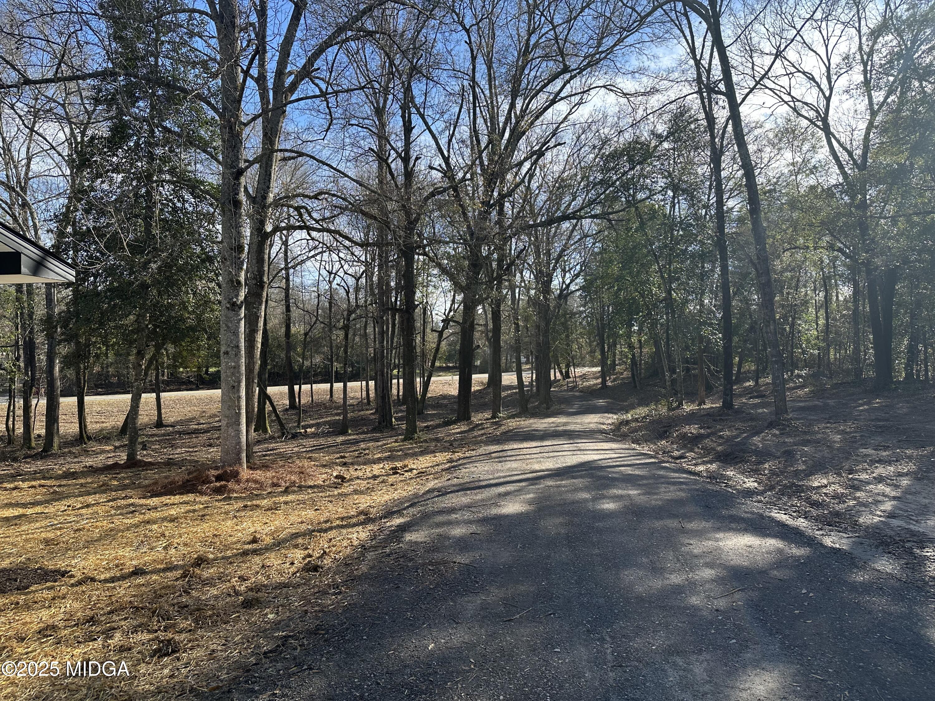 4105 Holley Road Lizella, GA 31052 - Photo 58 of 78 a view of road with trees