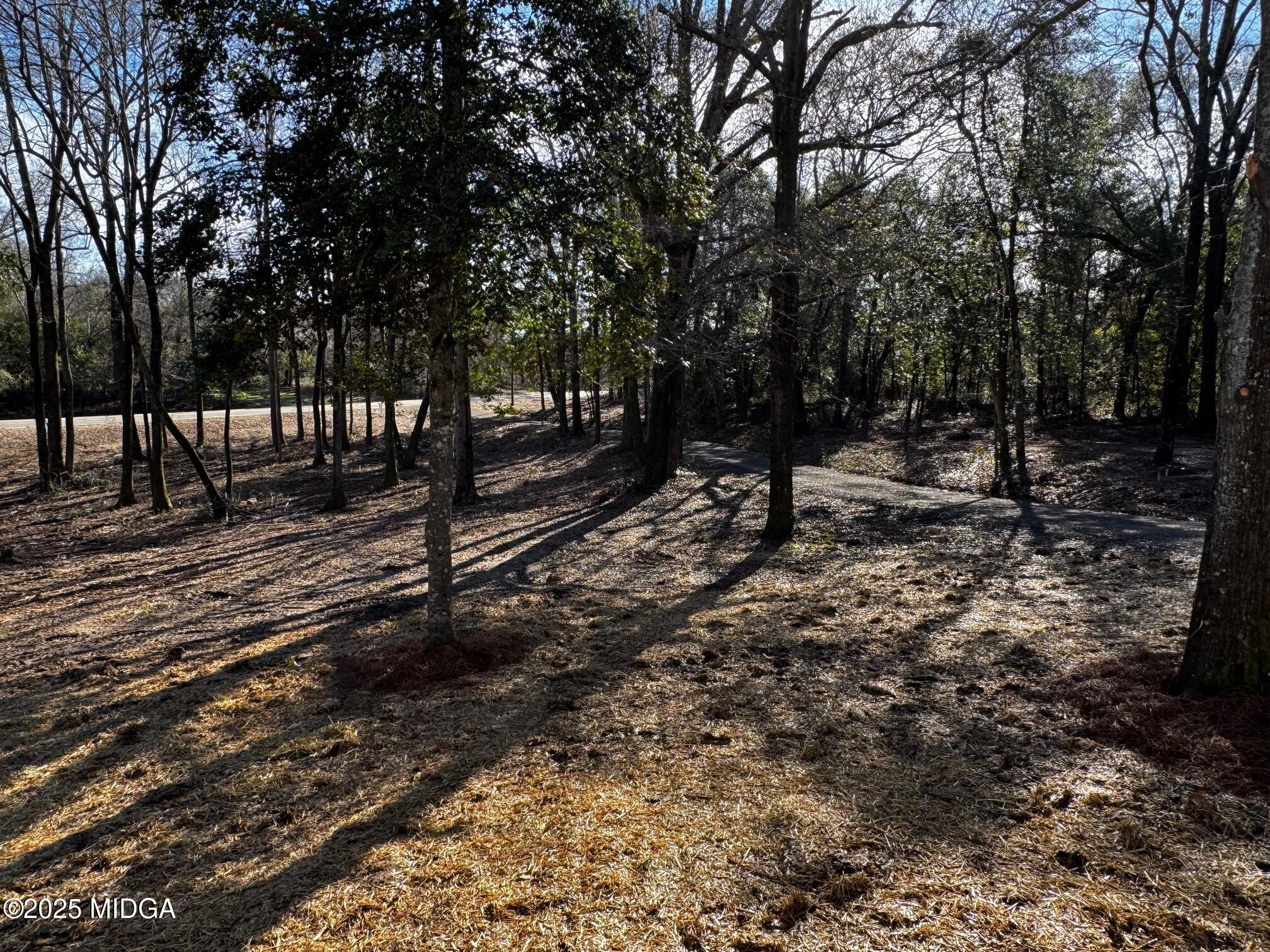 4105 Holley Road Lizella, GA 31052 - Photo 70 of 78 a view of a yard with wooden fence