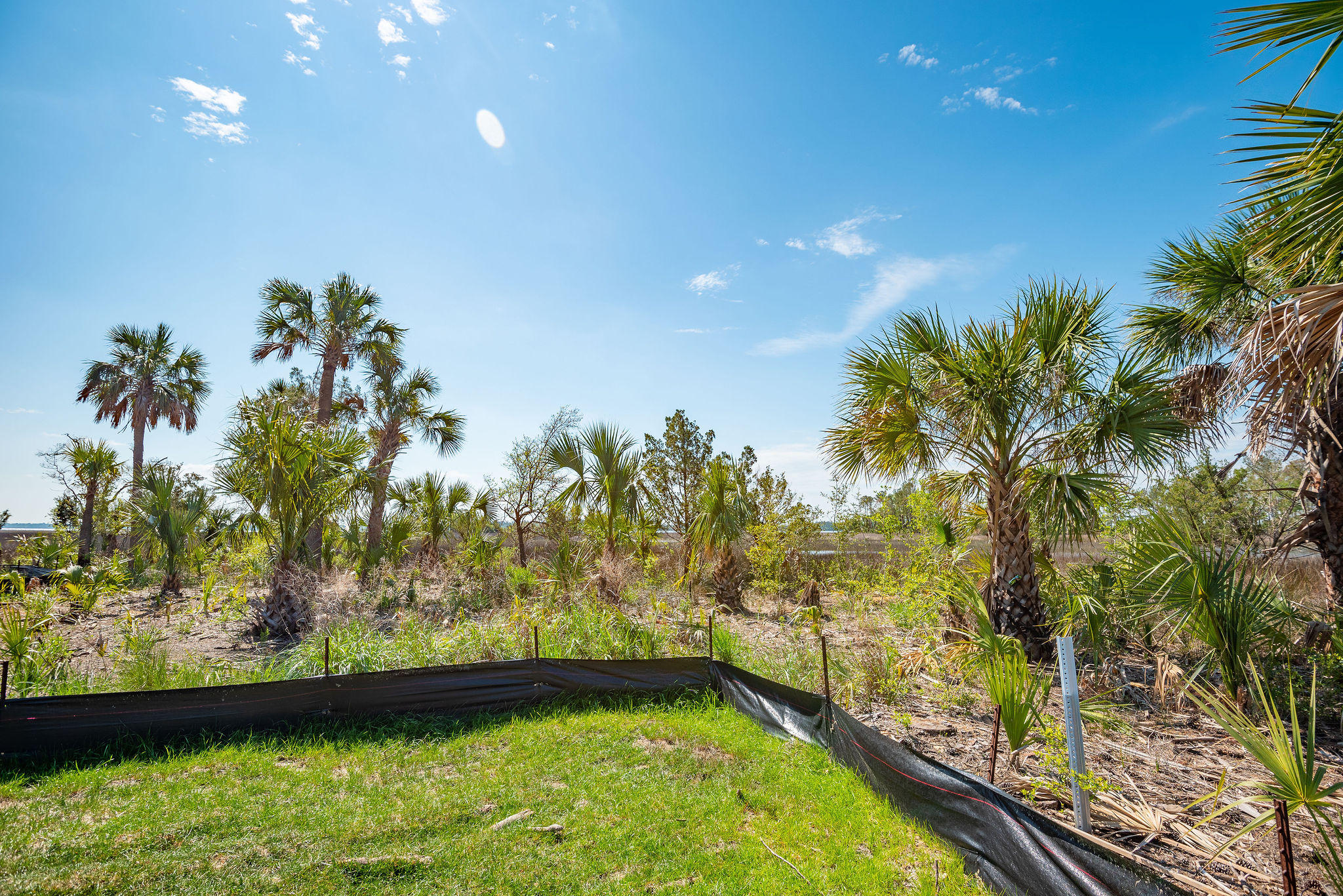284 Captain Goddard Road Charleston, SC 29492 - Photo 9 of 16 284CaptainGoddardRoad-KeenEyeMarketing-5