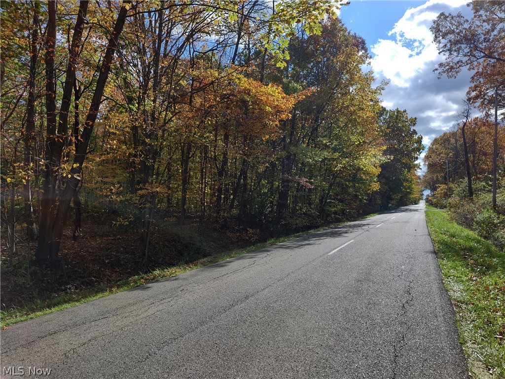 North Mahoning Portage County Line Road Lake Milton, OH 44429 - Photo 6 of 8 Gallery Image 6