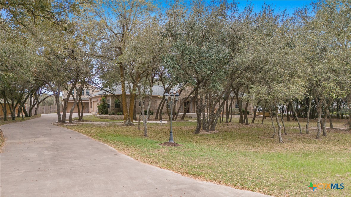 233 Post Oak Bend Inez, TX 77968 - Photo 8 of 45 a view of road with trees