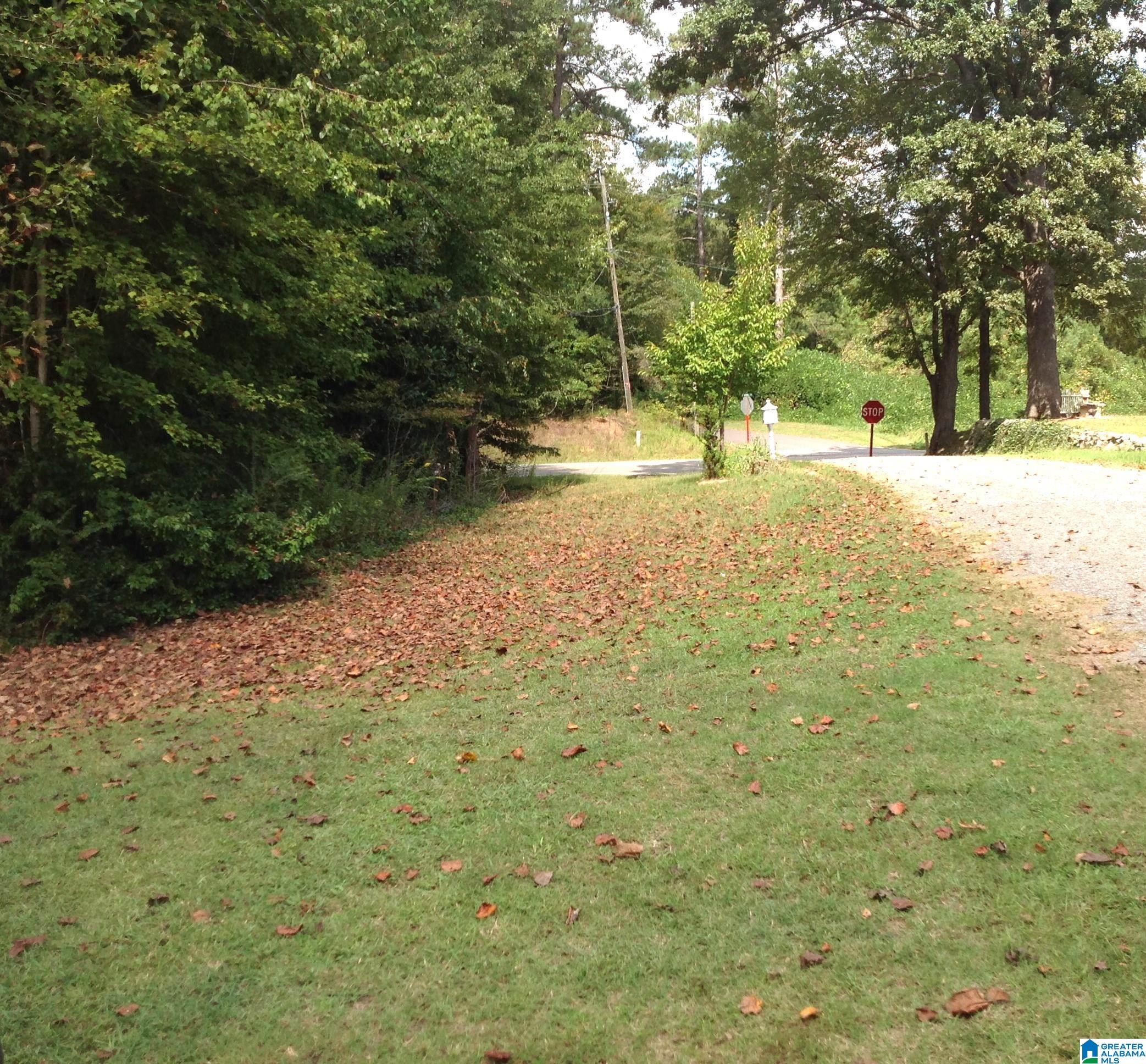 285 3rd Street West Fruithurst, AL 36262 - Photo 49 of 50 Gallery Image 49