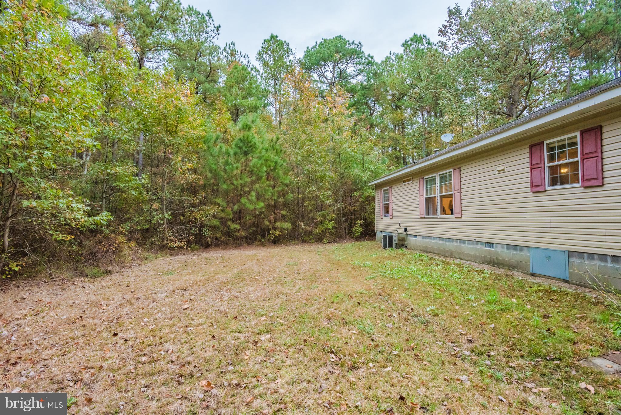 27530 Deal Island Road Princess Anne, MD 21853 - Photo 36 of 42