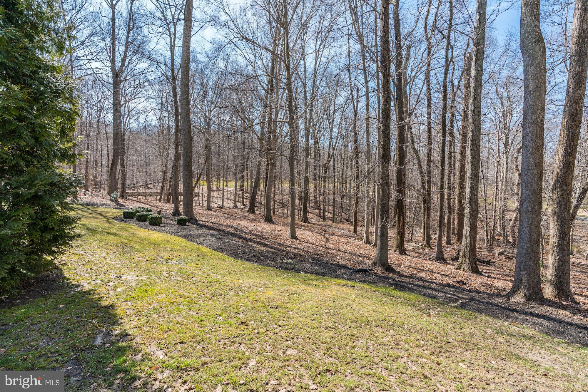 13 Perder Lane Edgewater, MD 21037 - Photo 56 of 58 Gallery Image 56