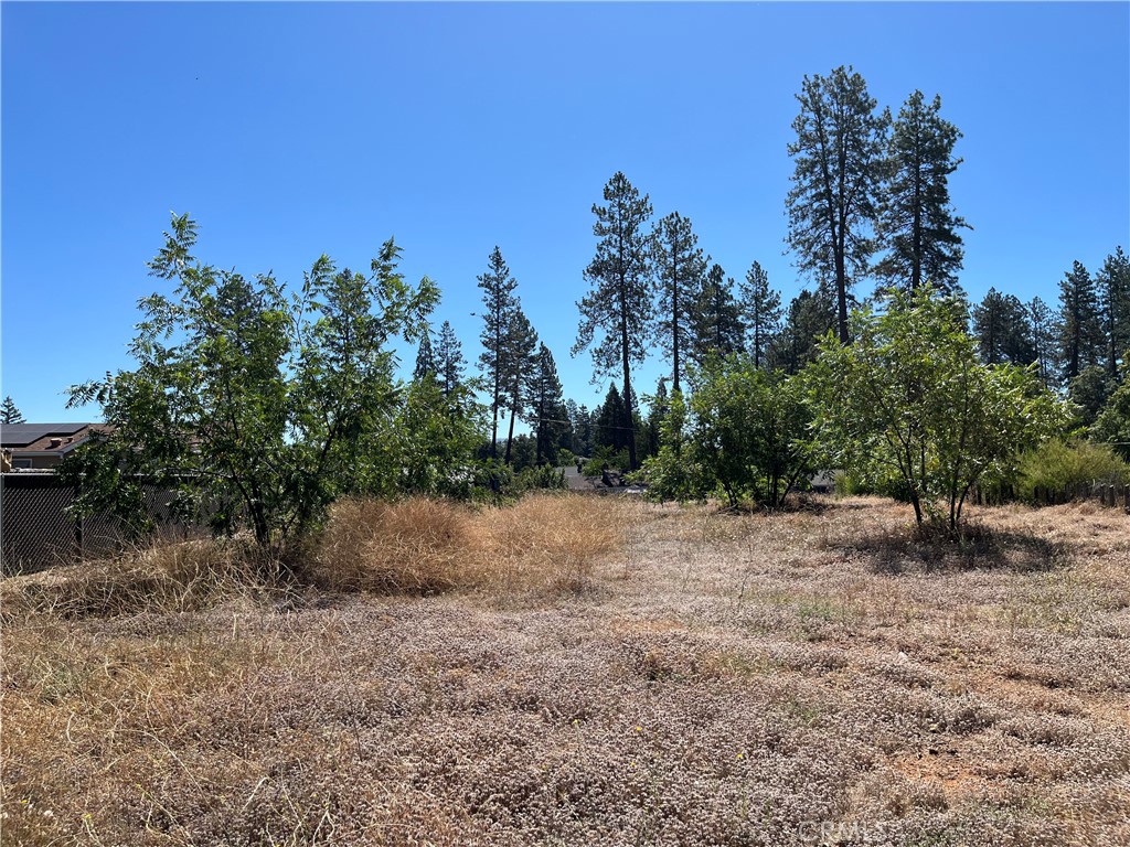1387 Wagstaff Road Paradise, CA 95969 - Photo 4 of 4