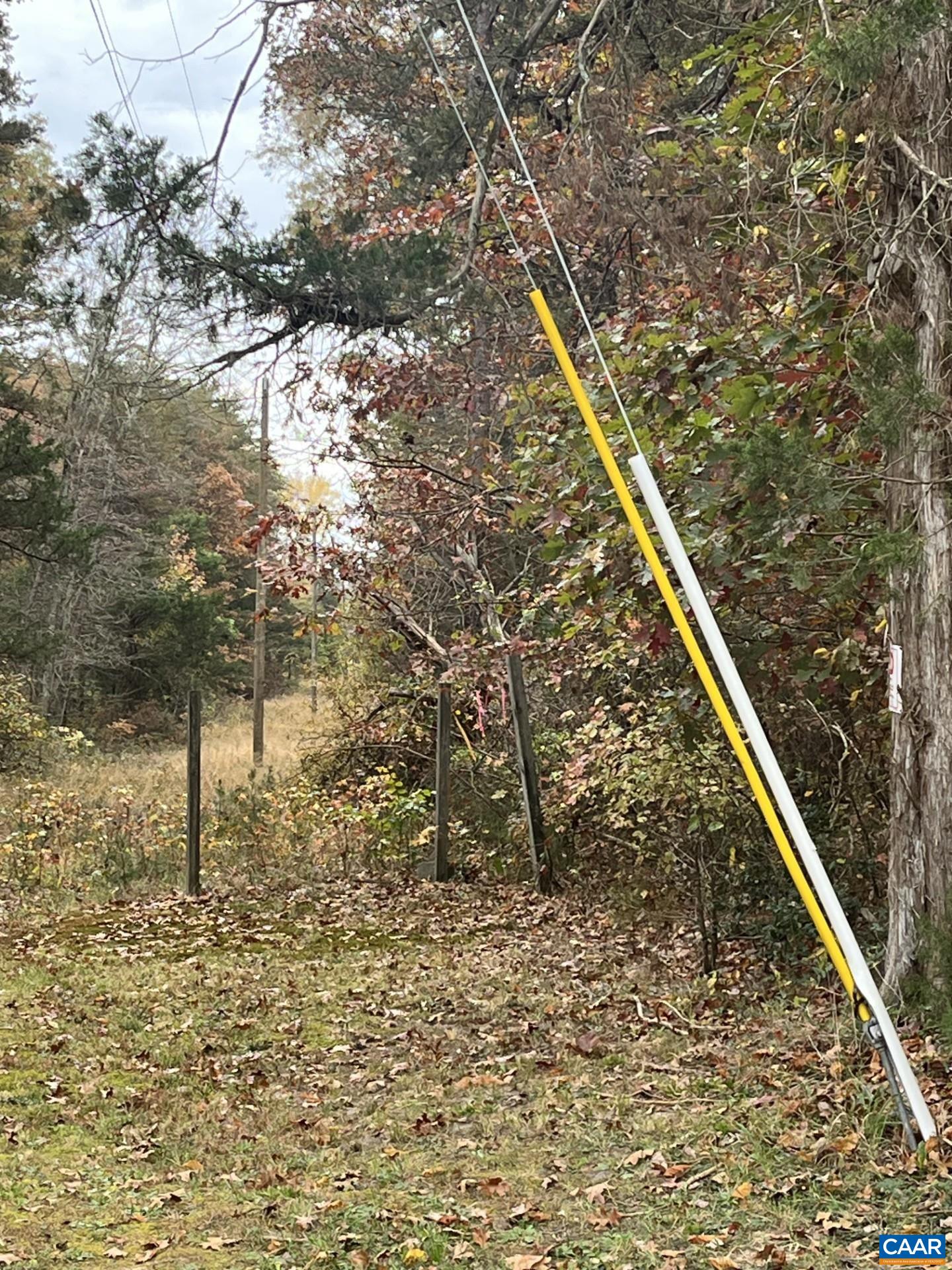 916 Hensley Road Mineral, VA 23117 - Photo 38 of 66 Back yard lot line 2
