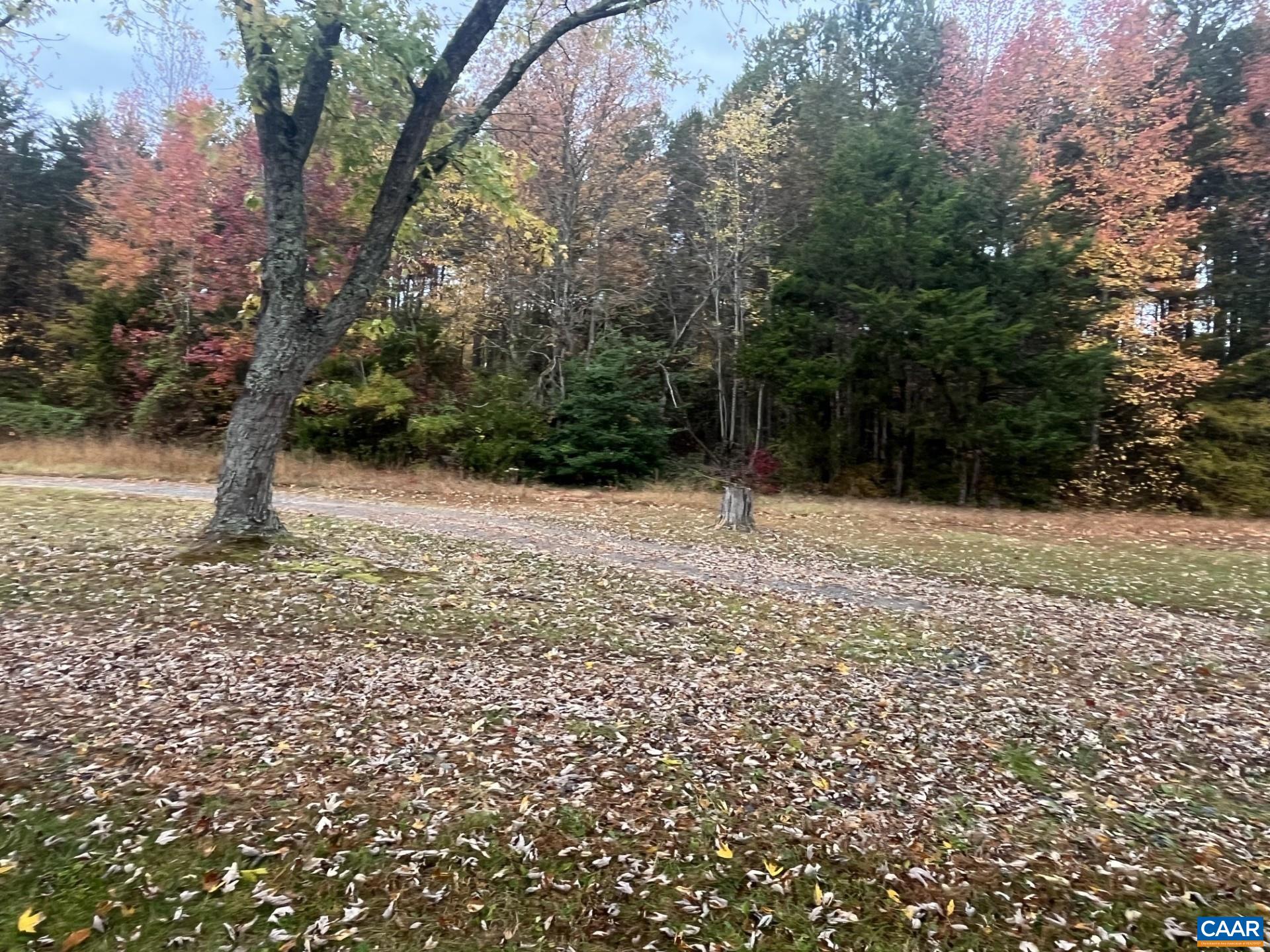916 Hensley Road Mineral, VA 23117 - Photo 41 of 66 Yard in Autumn