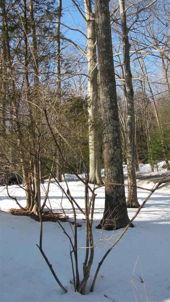 71 Goodhue Road Derry, NH 03038 - Photo 28 of 36
