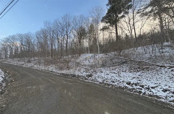 $25,000 | Obrien Road North, Savona, NY 14879