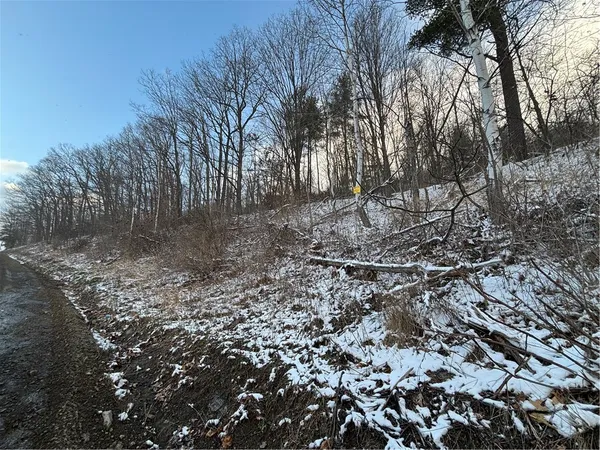 $25,000 | Obrien Road North, Savona, NY 14879