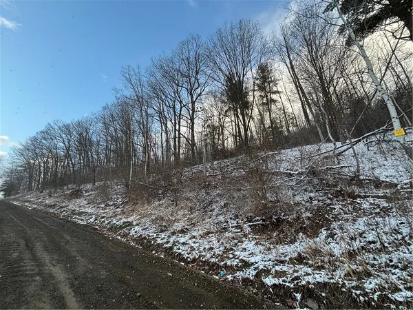 $25,000 | Obrien Road North, Savona, NY 14879