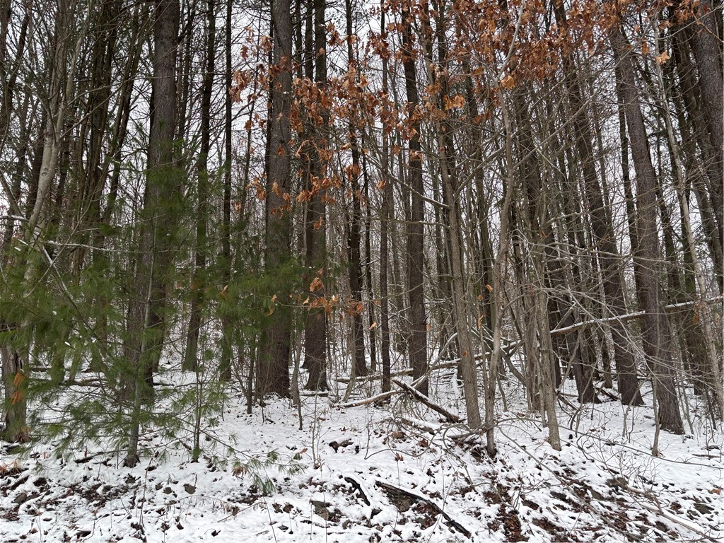 Obrien Road North Savona, NY 14879 - Photo 4 of 5