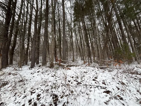 $25,000 | Obrien Road North, Savona, NY 14879