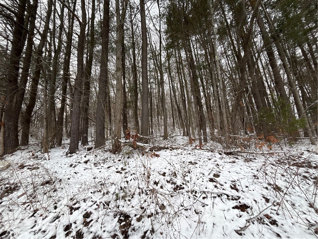 Obrien Road North Savona, NY 14879 - Photo 5 of 5