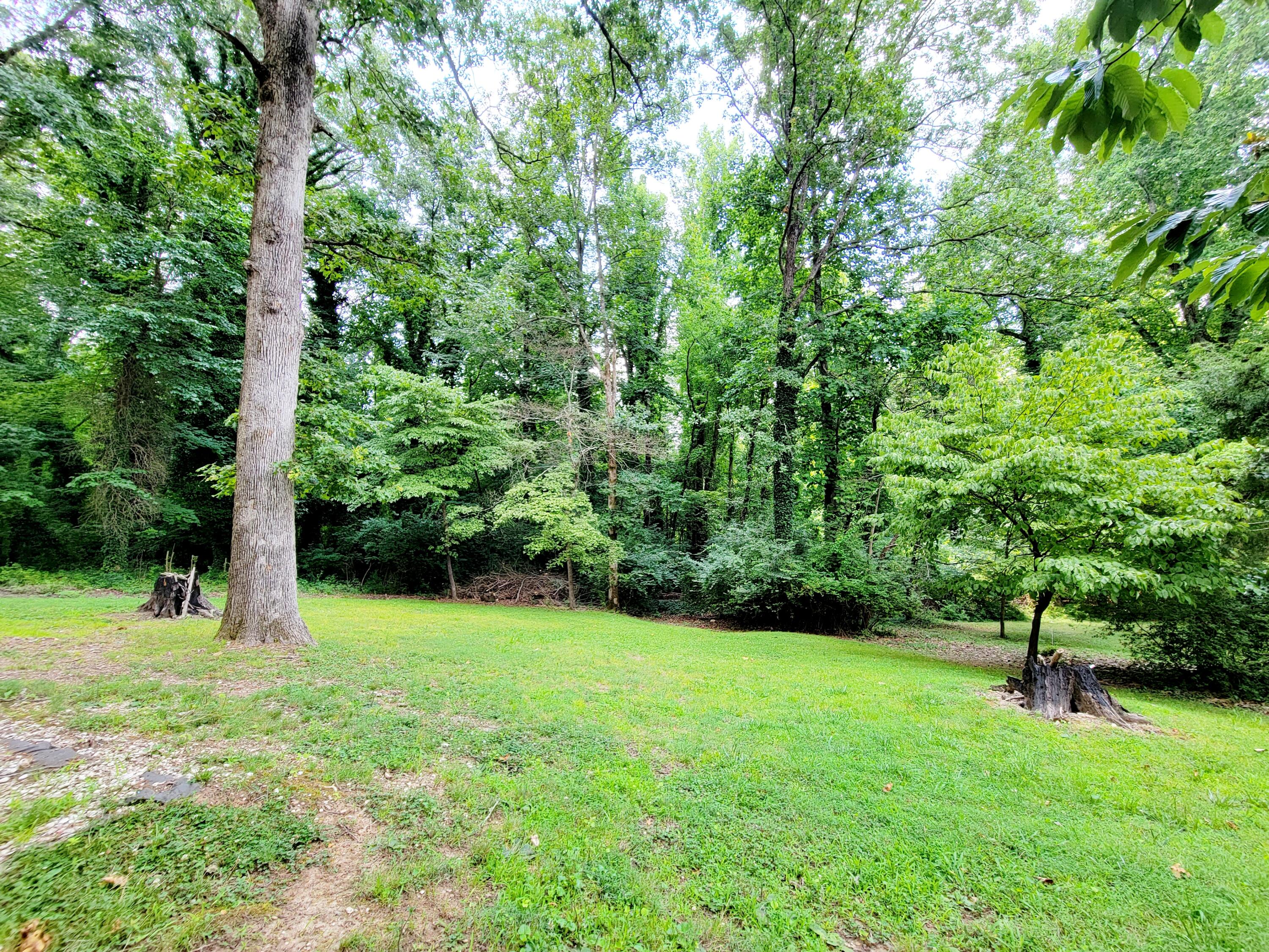 219 Outer Drive Oak Ridge, TN 37830 - Photo 24 of 31 Lots of yard!