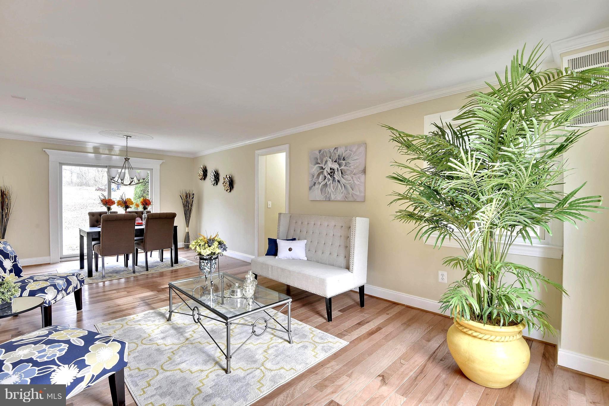 1106 Ednor Road Silver Spring, MD 20905 - Photo 1 of 30 Living Room
