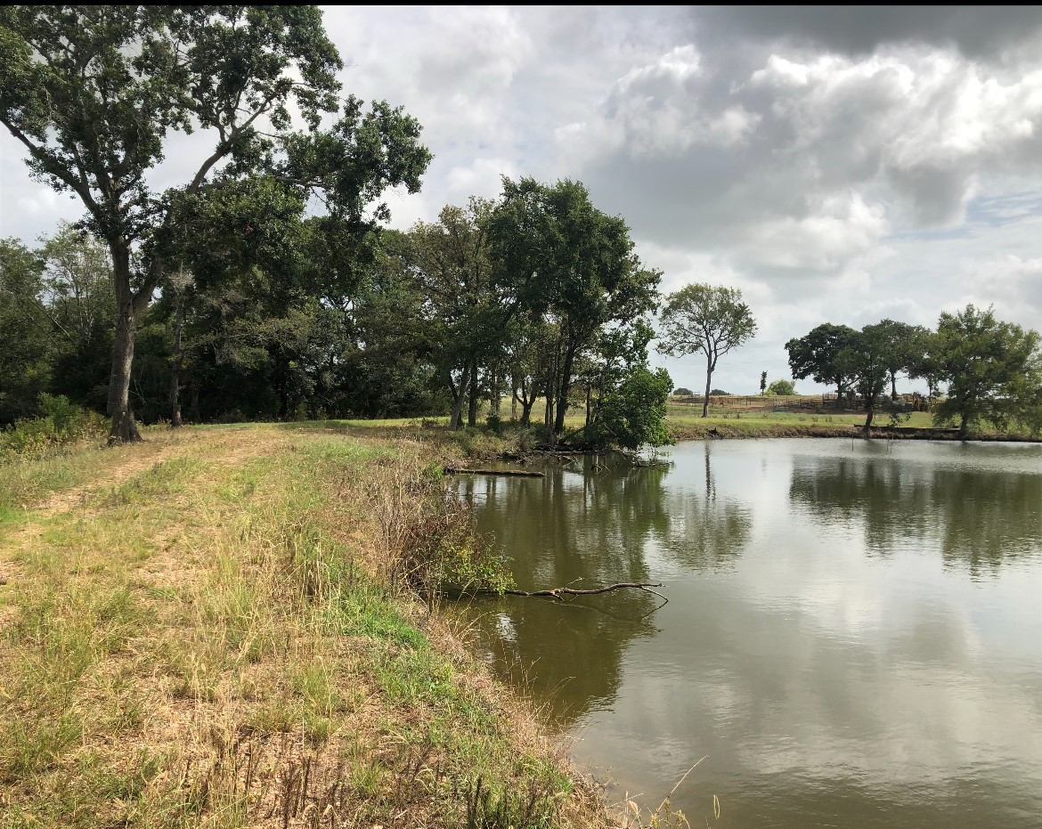 25923 Nelson Road Hempstead, TX 77445 - Photo 6 of 7