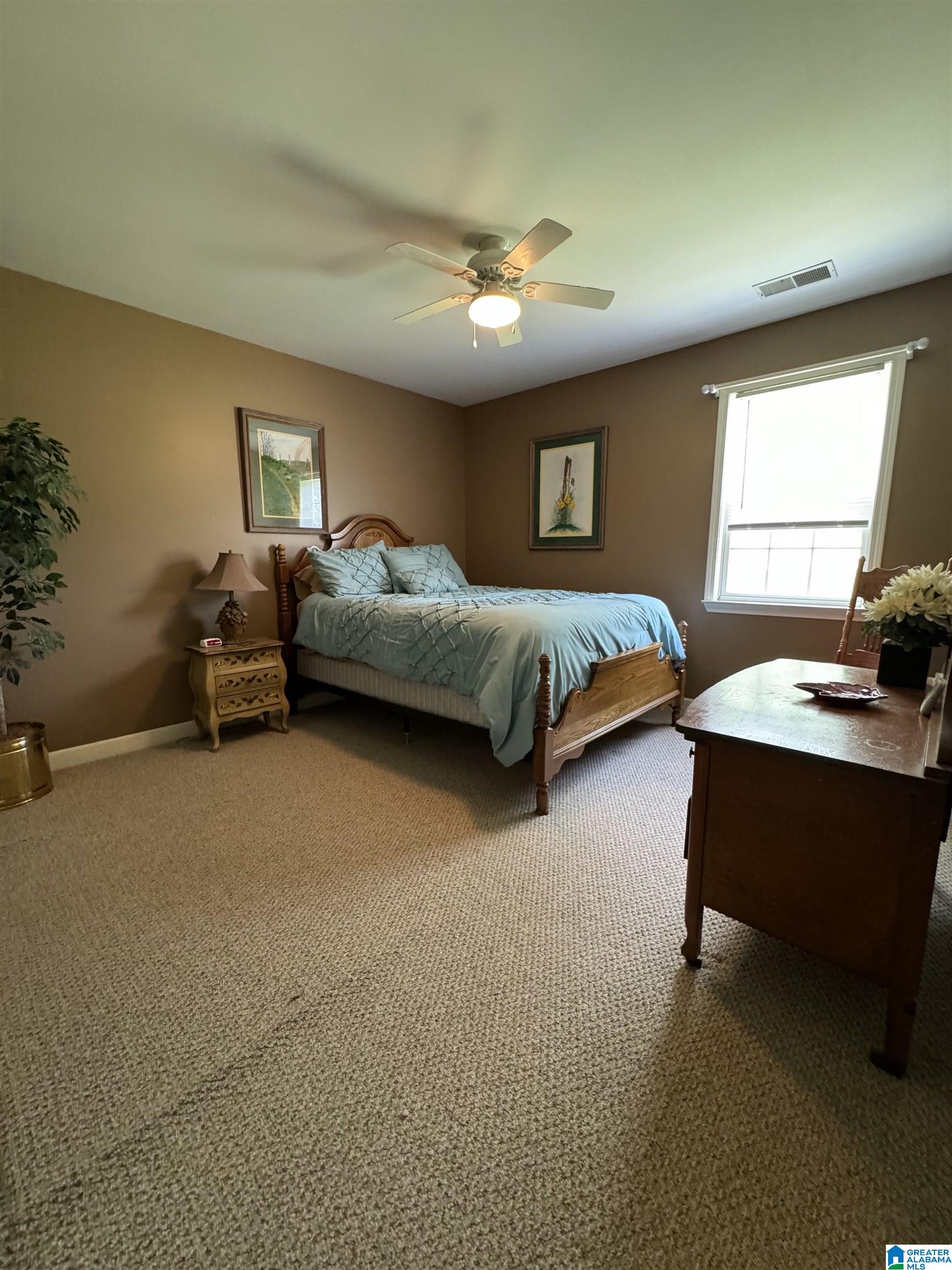 302 Valley View Lane Oneonta, AL 35121 - Photo 13 of 29