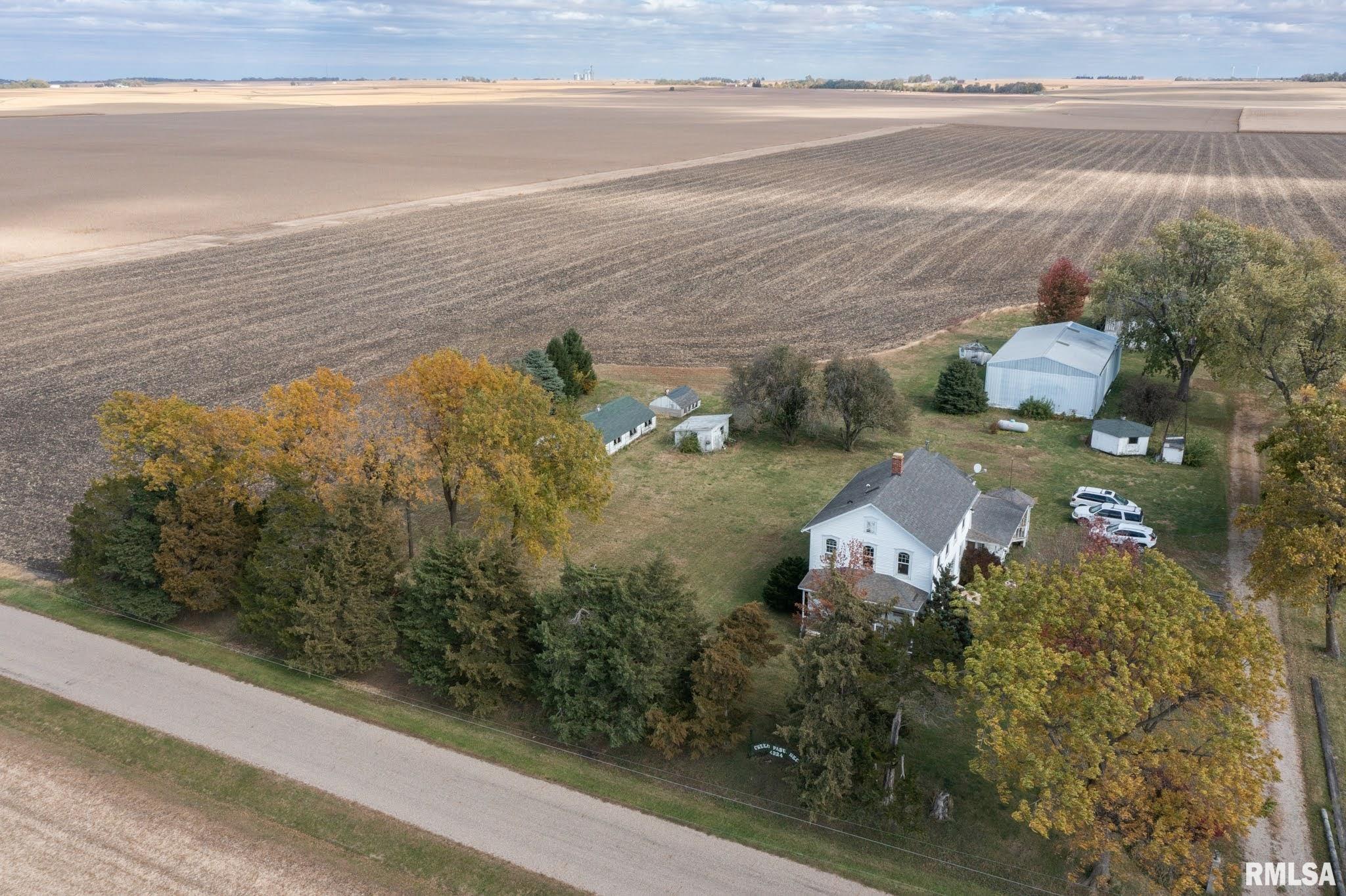 4224 Morris Mill Road Delavan, IL 61734 - Photo 9 of 60